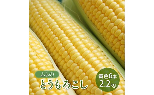 【2026年夏発送】ふらの とうもろこし 黄色 6本 2.2kg 北海道 富良野市 野菜 コーン とうきび イエロー 新鮮 直送 道産 ふらの 送料無料 数量限定 先着順