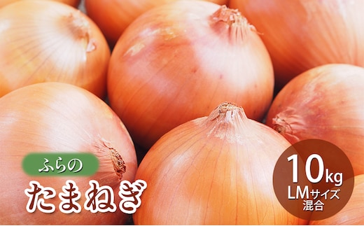 【2026年秋発送】ふらの たまねぎ 10kg LMサイズ混合 北海道 富良野市 野菜 新鮮 直送 玉ねぎ 道産 ふらの 送料無料 数量限定 先着順