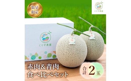 【2027年発送】ふらのメロン「陽 ～HARU～」 赤肉＆青肉 食べ比べセット（各1玉 合計2玉：4kg以上）