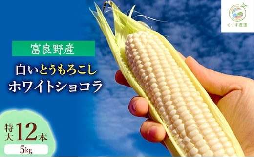 【2027年発送】北海道富良野産白い