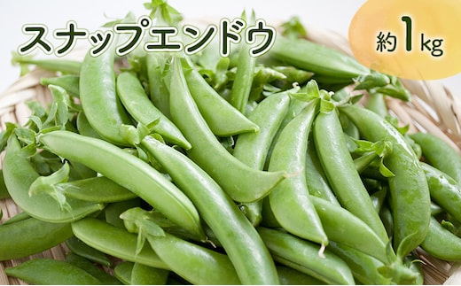 【先行予約】 2026年《収穫次第順次発送》 富良野市産 スナップえんどう 1kg 野菜 旬 新鮮 富良野 エンドウ 豆 スナックエンドウ スナップ えんどう豆 ふらの 畠山農園