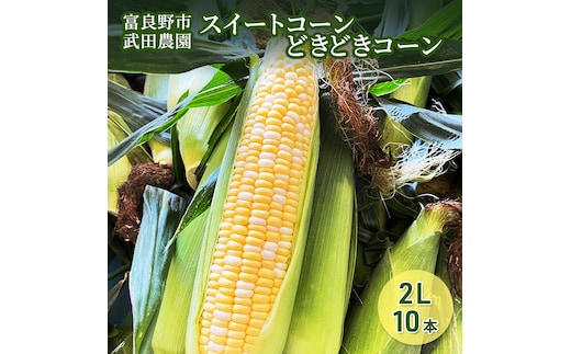2026年夏発送 ［武田農園とれたて直送］スイートコーン どきどきコーン 2L 10本 北海道 富良野産 とうもろこし 野菜 新鮮 とうきび 甘い 産地直送 先行予約 限定