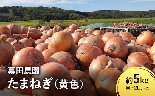 【2026年先行受付】富良野産 黄色 玉ねぎ 約5kg（約15～20玉） M～2Lサイズ 野菜 新鮮 直送 黄玉ねぎ 玉葱 玉ネギ 道産 北海道 富良野市 ふらの 幕田農園