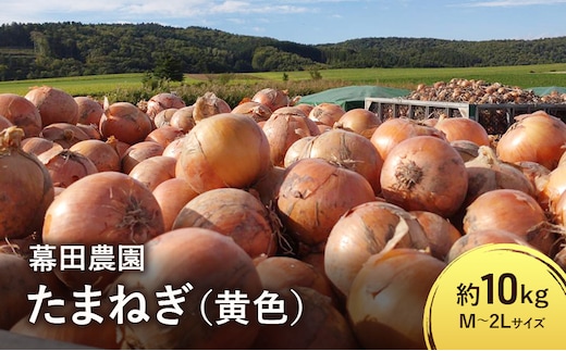 【2026年先行受付】富良野産 黄色 玉ねぎ 約10kg（約30～40玉） M～2Lサイズ 野菜 新鮮 直送 黄玉ねぎ 玉葱 玉ネギ 道産 北海道 富良野市 ふらの 幕田農園