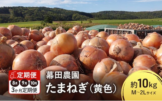 【2026年先行受付】［3か月定期便］富良野産 黄色 玉ねぎ 約10kg（約30～40玉） M～2Lサイズ 野菜 新鮮 直送 黄玉ねぎ 玉葱 玉ネギ 道産 北海道 富良野市 ふらの 幕田農園