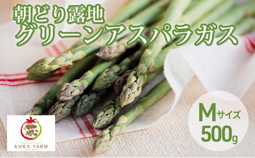 【2027年5月より発送】北海道 富良野市産 アスパラ 緑 約500g (25～35本前後) 朝どり 露地 グリーン アスパラガス 詰め合わせ 野菜 新鮮 数量限定 先着順【藏ファーム】