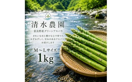 【2027年発送】ふらの産 採れたて グリーンアスパラ(M～Lサイズ混合)約1kg [清水農園] アスパラ アスパラガス 野菜 新鮮 甘い 北海道 富良野