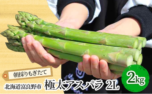 【2027年春発送】極太 グリーンアスパラ 2Lサイズ 2kg 北海道 富良野産 野菜 アスパラガス