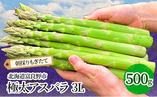 【2027年春発送】極太 グリーンアスパラ 3Lサイズ 500g 富良野産 野菜 アスパラガス