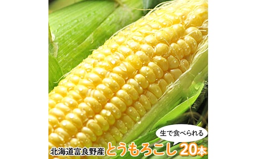 【2026年夏発送】富良野産 生で食べられる とうもろこし【恵味（めぐみ）】 20本 野菜 コーン