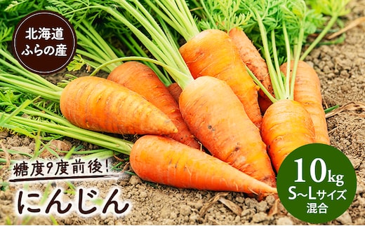 【2026年夏～発送】富良野産 にんじん 約10kg S～Lサイズ混合 野菜 人参 道産