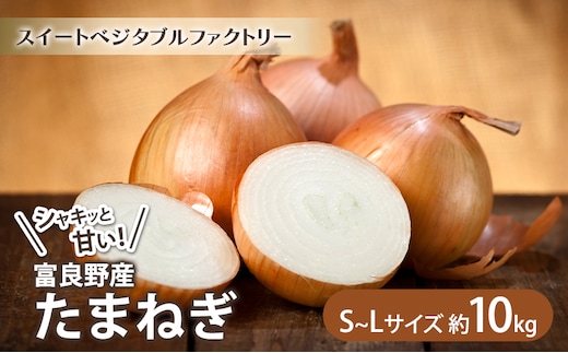 【2026年秋冬発送】北海道富良野産 たまねぎ 約10kg (S～Lサイズ混合) 野菜 玉ねぎ
