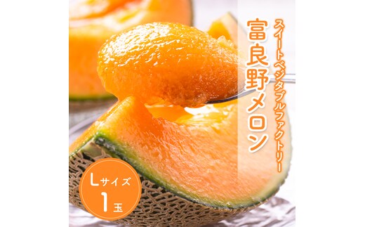 【数量限定！】北海道 富良野 メロン Lサイズ 1.3kg以上×1玉 フルーツ 果物