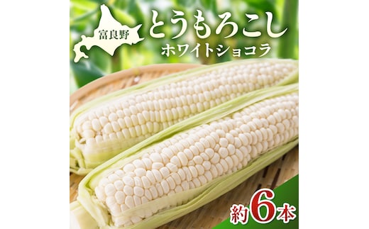【2026年夏発送】富良野産 とうもろこし ホワイトショコラ 約6本 [近藤農園] とうもろこし コーン とうきび 野菜 新鮮 甘い 贈り物 ギフト 道産 ジューシー ふらの ブランド 夏 北海道 富良野市