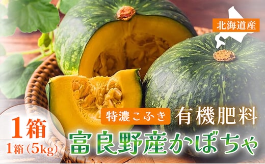 【秋の味覚 北海道産 カボチャ】特濃こふき 無選別 5kg×1箱｜北海道富良野市 9～10月発送 野菜 しっとり ホクホク 濃厚 甘い 濃橙果肉 黒皮カボチャ かぼちゃ こふきかぼちゃ 南瓜 料理用 煮物 贈答用 秋季限定