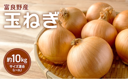 富良野産 玉ねぎ 約10kg入り サイズ混合（L～2L）たまねぎ ご家庭用 野菜 甘い 新鮮 北海道 富良野市