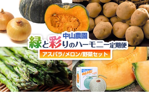 【2027年春発送】中山農園から贈る 緑と彩りのハーモニー定期便(アスパラ/メロン/野菜セット) アスパラガス アスパラ メロン フルーツ いも じゃがいも 玉ねぎ たまねぎ かぼちゃ 南瓜 新鮮 野菜 産地直送 果物 甘い 贈り物 ギフト 道産 数量限定 北海道 富良野市