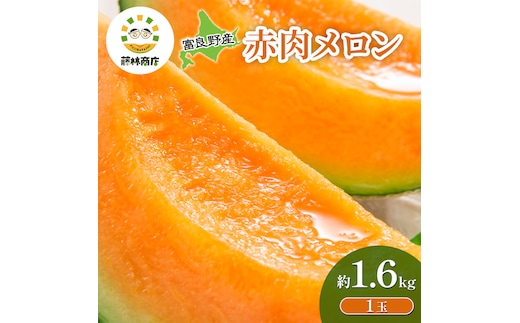 【2026年夏発送】メロン 北海道 富良野メロン 赤肉1玉 約1.6kgサイズ以上 北海道 ふらの めろん 果物 フルーツ 甘い ジューシー