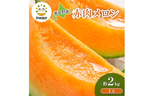 【2026年夏発送】メロン 北海道 富良野メロン 赤肉1玉 約2kgサイズ 大玉 北海道 ふらの めろん 果物 フルーツ 甘い ジューシー