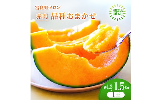＜2026年発送＞富良野メロン 約1.3kg～1.5kg 1玉 [ メロン フルーツ 果物 北海道 富良野 ]