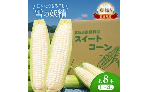 朝採り 白いとうもろこし 「雪の妖精」 北海道富良野産 L～2L 約8本 [ とうもろこし とうきび コーン ホワイトコーン 野菜 北海道 富良野 ]