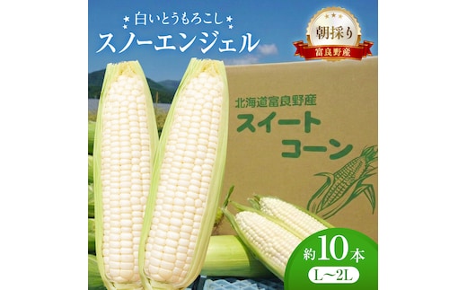 白いとうもろこし 「スノーエンジェル」 北海道富良野産 L～2L 約10本 [ とうもろこし とうきび コーン ホワイトコーン 野菜 北海道 富良野 ]