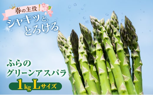 【2027年春発送】富良野産 グリーンアスパラ Lサイズ 約1kg アスパラ 野菜 アスパラガス