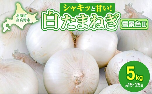 【2026年夏発送】富良野産 白玉ねぎ 雪景色II 約5kg （約15～25玉）新玉ねぎ 野菜 甘い 新鮮 直送 玉ねぎ 玉葱 サラダ 北海道 富良野 幕田農園