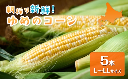 【2026年夏出荷】富良野産 とうもろこし ゆめのコーン 5本 L～LLサイズ 野菜 新鮮 直送 コーン とうきび 道産 北海道 幕田農園