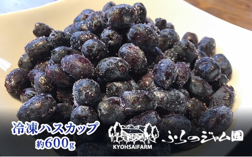 ◆ふらのジャム園◆ 冷凍 ハスカップ 2袋セット ( 果物 フルーツ 冷凍食品 新鮮 産地直送 北海道 道産 富良野 )