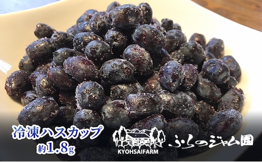 ◆ふらのジャム園◆ 冷凍 ハスカップ 6袋セット ( 果物 フルーツ 冷凍食品 新鮮 産地直送 北海道 道産 富良野 )