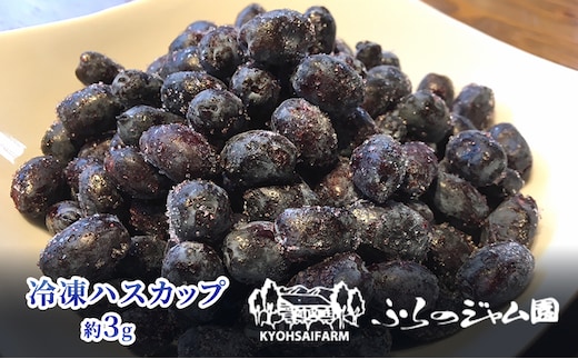 ◆ふらのジャム園◆ 冷凍 ハスカップ 10袋セット ( 果物 フルーツ 冷凍食品 新鮮 産地直送 北海道 道産 富良野 )