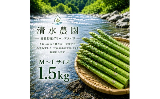 【2027年発送】ふらの産 採れたて グリーンアスパラ(M～Lサイズ混合)約1.5kg [清水農園] アスパラ アスパラガス 野菜 新鮮 甘い 北海道 富良野