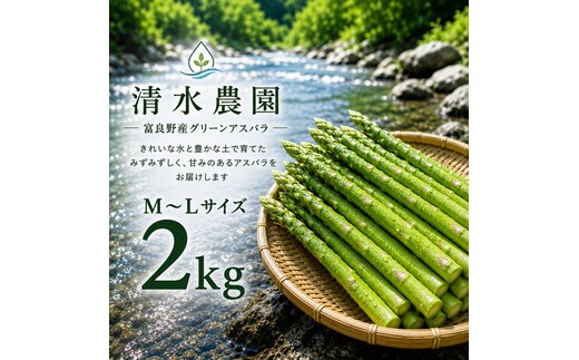 【2027年発送】ふらの産 採れたて グリーンアスパラ(M～Lサイズ混合)約2kg [清水農園] アスパラ アスパラガス 野菜 新鮮 甘い 北海道 富良野