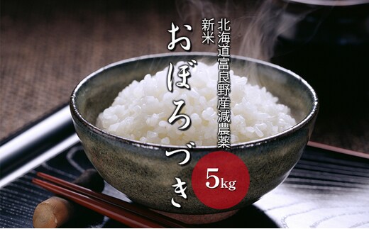 【令和8年度】北海道 富良野産 おぼろづき 減農薬 5kg 米 (山本農園) お米 ご飯 ごはん 白米 定期 送料無料 北海道 富良野市 道産 直送 ふらの