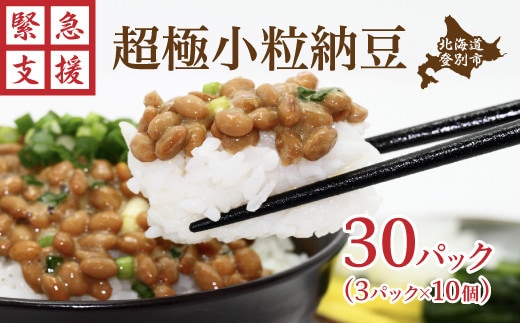 【大容量30パック】北海道産大豆 極小粒納豆 3P×10箱 [ 納豆 小分け 小粒 極小粒 なっとう パック 国産 大豆 ご飯のお供 朝食 朝ごはん おかず 発酵食品 腸活 冷凍保存 小分け まとめ買い 老舗 道南平塚食品 北海道 登別市 ふるさと納税 ]