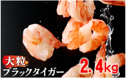順次出荷 【訳あり】えび ブラックタイガー 冷凍 むきえび 2.4kg下処理済み | えび 海老 エビ ebi むきえび むき海老 むきエビ 訳あり 不揃い 規格外 海産物 海鮮 大容量 便利 簡単 人気 おすすめ ランキング 北海道 登別市