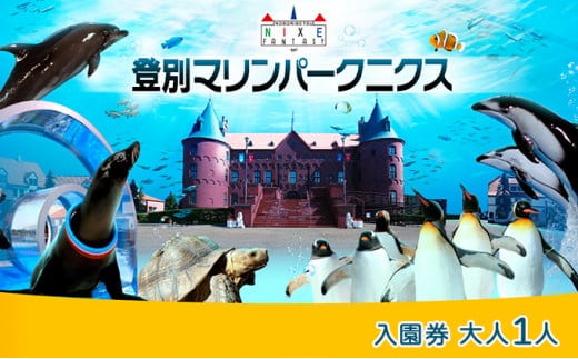 登別マリンパークニクス 入園券 大人1名 | dショッピングふるさと納税百選