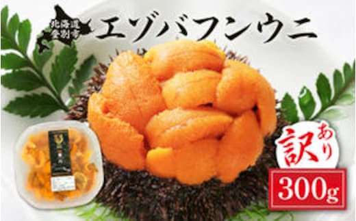 ≪規格外品300g≫無添加 エゾバフンウニ 塩水パック 300g 配送期間C：1月下旬～3月下旬迄