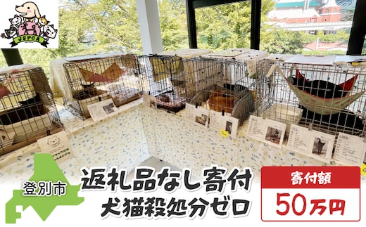 日本動物愛護協会殺処分低減活動への寄附【犬猫殺処分ゼロ】（返礼品なし）【MRI-AiD】【寄付額：50万円】