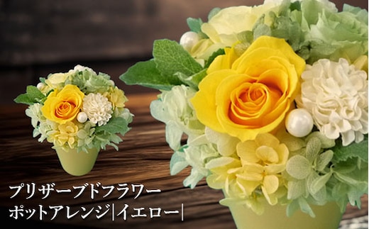 プリザーブドフラワー ポットアレンジ（イエロー）【14001401】