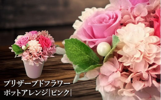 プリザーブドフラワー ポットアレンジ（ピンク）【14001501】