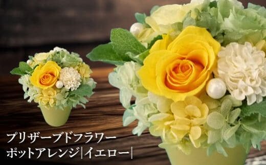 プリザーブドフラワー ポットアレンジ（イエロー）【140014】