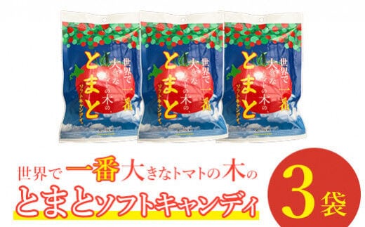 【使用不可】世界で一番大きなトマトの木のとまとソフトキャンディ×3袋【190006】
