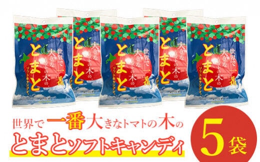 【使用不可】世界で一番大きなトマトの木のとまとソフトキャンディ×5袋【190008】