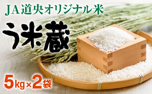 北海道米う米蔵１０ｋｇ(5ｋｇ×2袋)セット【29002403】