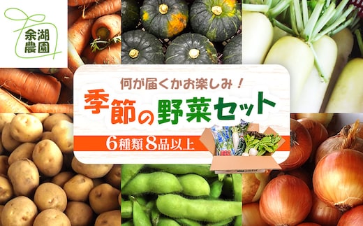 北海道産季節の野菜詰め合わせ 6種類8品【31000503】