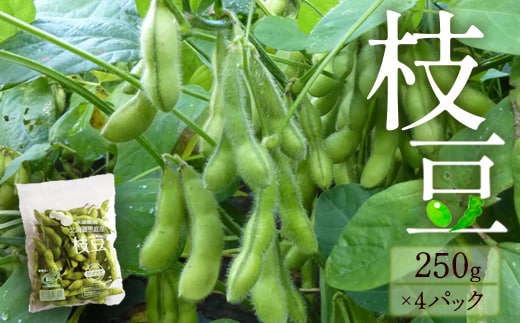 【北海道恵庭市産】枝豆 250g×4パックセット 【31001302】