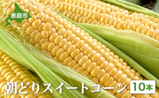 【北海道恵庭市産】朝どりスイートコーン×10本【310024】
