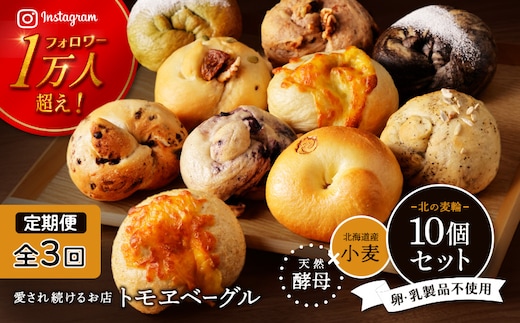 【定期便：全3回】トモヱベーグル ギフトセット「北の麦輪（むぎわ）10個セット」【33000701】